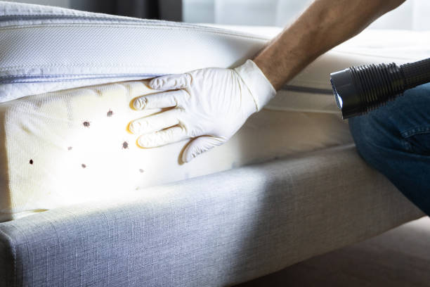North Granby, CT Pest Control Company