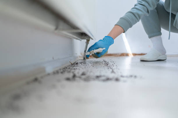 Best Pest Prevention Services  in North Granby, CT